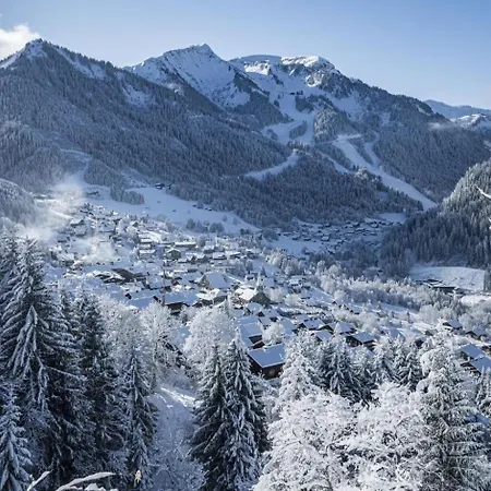 Orchidee Od8 Nature & Telecabine 4 Pers Châtel
