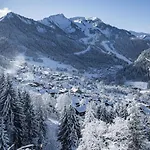 Orchidee Od8 Nature&telecabine 4 Pers Châtel