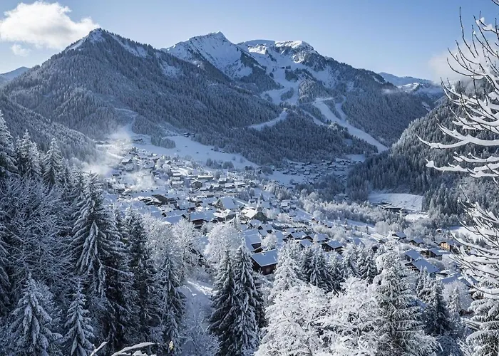 Orchidee Od8 Nature & Telecabine 4 Pers Châtel