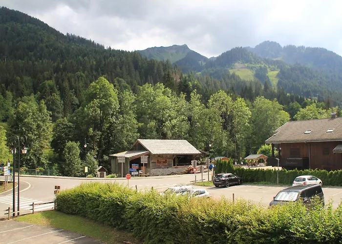 Orchidee Od8 Nature & Telecabine 4 Pers Châtel